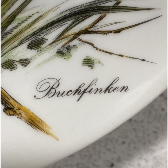 Vintage Kaiser W Germany Fine Porcelain Nature Bird Decor Plate Buchfinken Finch - Picture 3 of 6